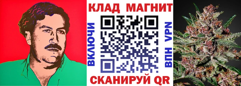 Галлюциногенные грибы Цивильск